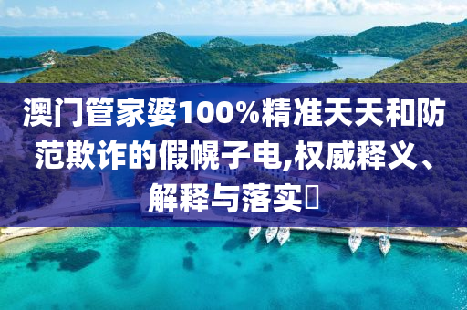 澳门管家婆100%精准天天和防范欺诈的假幌子电,权威释义、解释与落实​